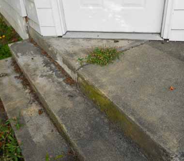 home inspection renton