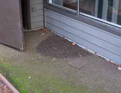 Reverse grade, home inspection seattle