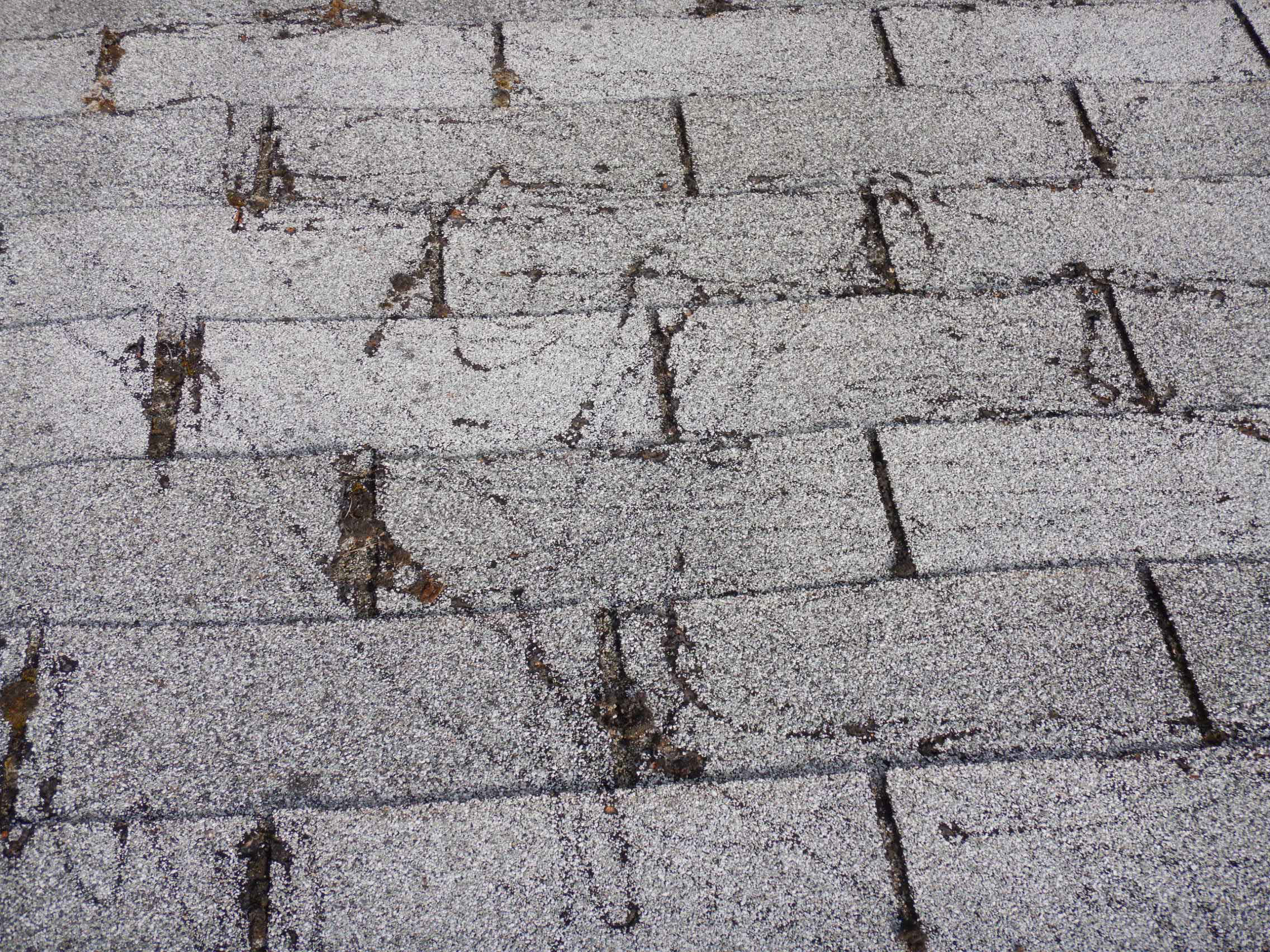 pressure washing roof